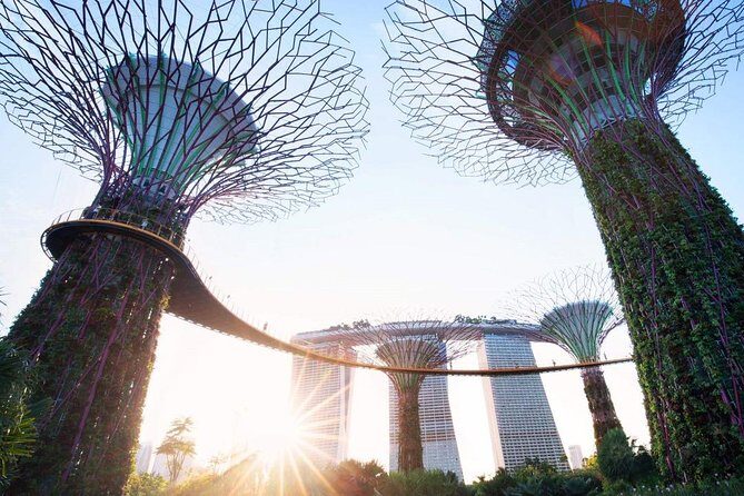 Private Customised Singapore Walking Tour - The Sum Up