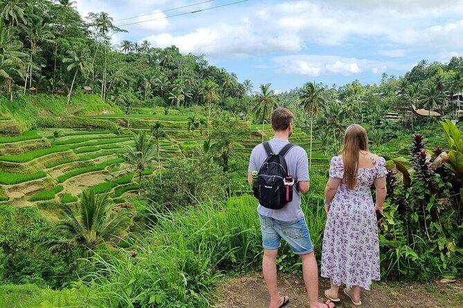 Private Customizable Bali Tour Visit with Transfer Included - Who Would Benefit Most?
