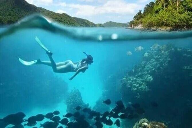 Private Customizable Charter in Marathon Florida - Authentic Experiences and Real Traveler Insights