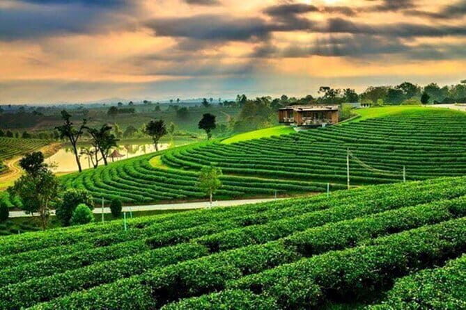 Private Customizable Chiang Rai Tour from Chiang Rai - Full Day - FAQ