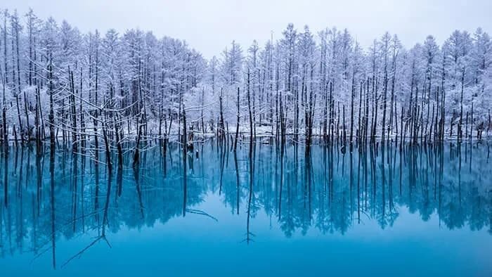 Private Customizable Day Tour to Sapporo & Otaru (From Sapporo) - A private car changes the shape of a Hokkaido day