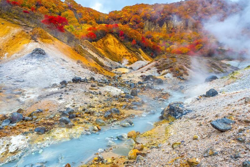 Private Customizable Day Tour to Sapporo & Otaru (From Sapporo) - What the longer drives ask of you