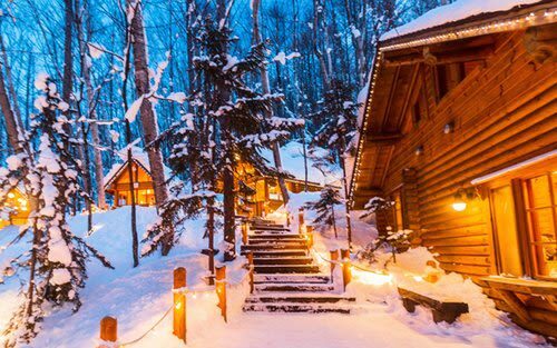Private Customizable Day Tour to Sapporo & Otaru (From Sapporo) - The driver, the car, and the language question