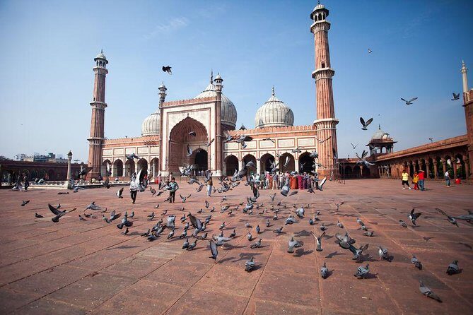 Private Customizable Delhi Sightseeing Tour with Guide - Who Would Benefit Most?