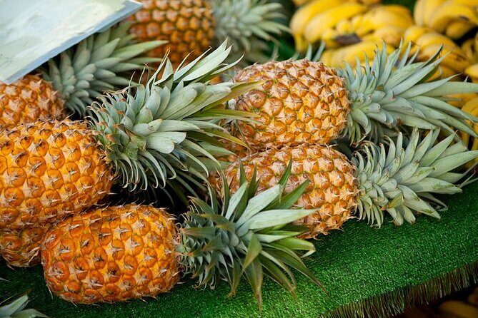 Private Customizable Grand Circle Island Tour on Oahu - Key Points