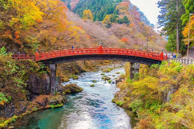 Private Customizable Nikko Full-Day Tour with English Driver - Who Will Love This Tour?