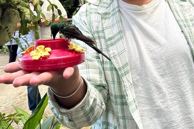 Private customizable tour at Mindo cloud forest - Final Thoughts