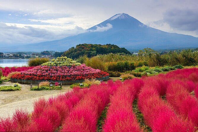 Private Customizable Tour in Mount Fuji - Who Should Consider This Tour?