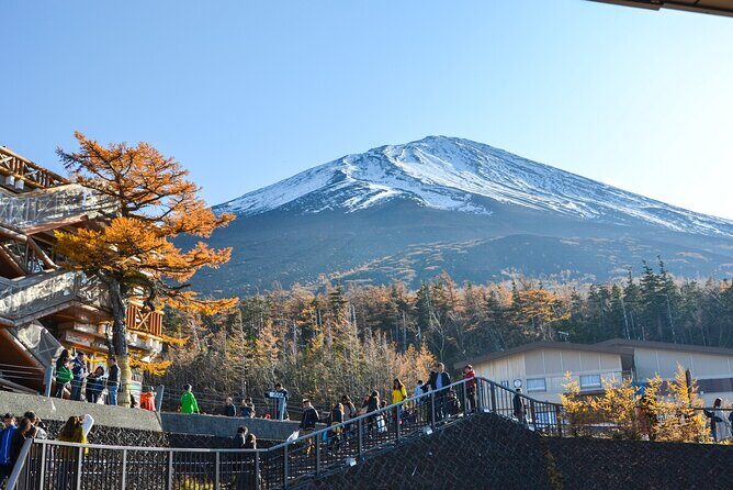 Private Customizable Tour in Mount Fuji - FAQ