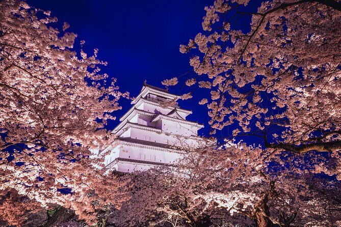 Private Customizable Tour in Tokyo - Who Will Love This Tour?