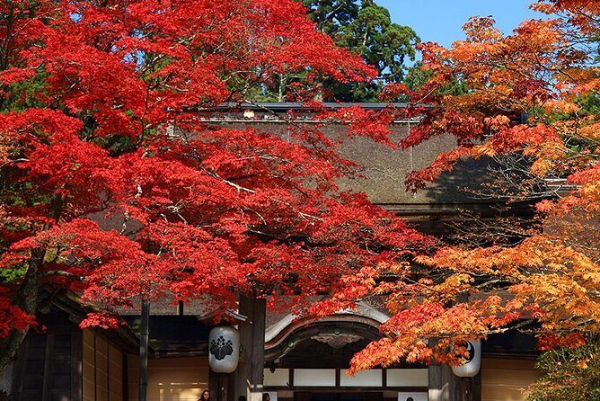 Private Customizable Tour in Wakayama - FAQ