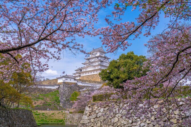 Private Customize Tour Himeji from Kyoto - Exploring Himeji: The Heart of the Day Trip