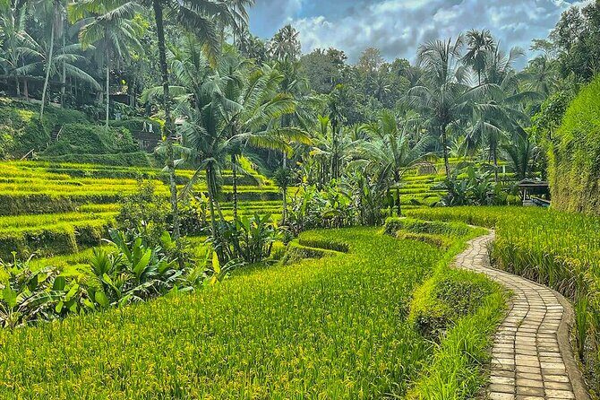 Private Customize Ubud Day Tour With Experienced Driver - Exploring Ubud: An In-Depth Look at the Itinerary