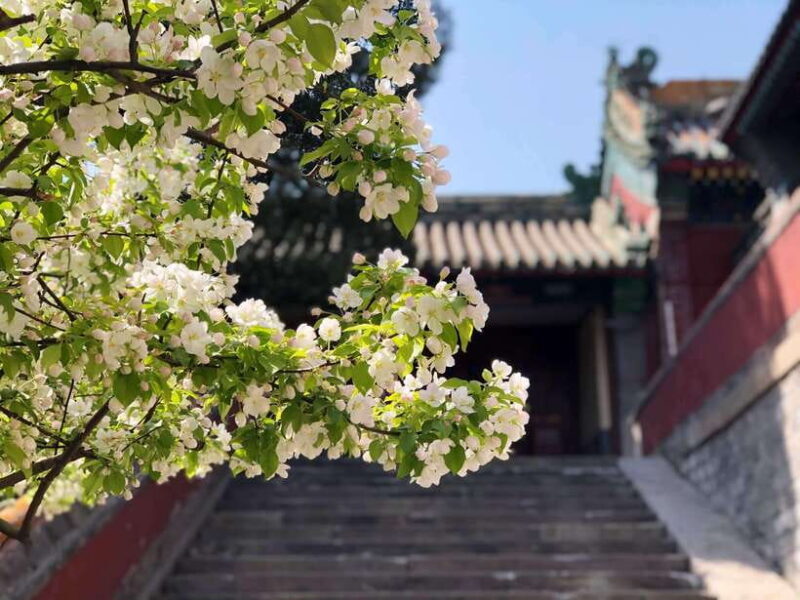 Private Customized Beijing Garden Tour - Key Points