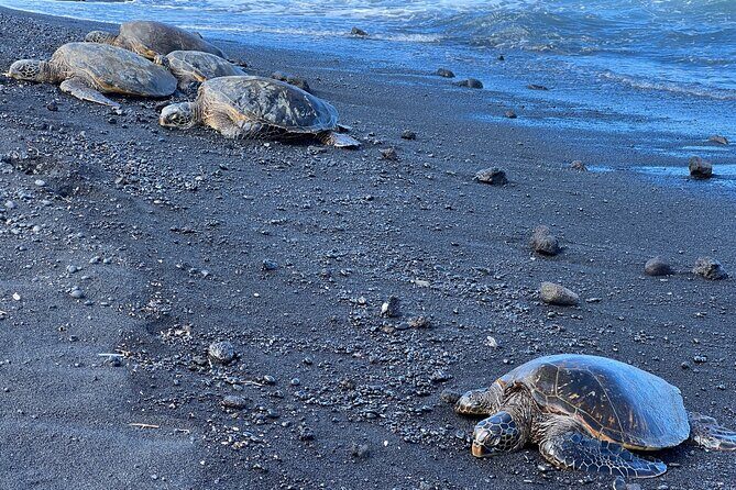 Private Customized Big Island Adventure Tour (4-6 Hours) - Value for Money