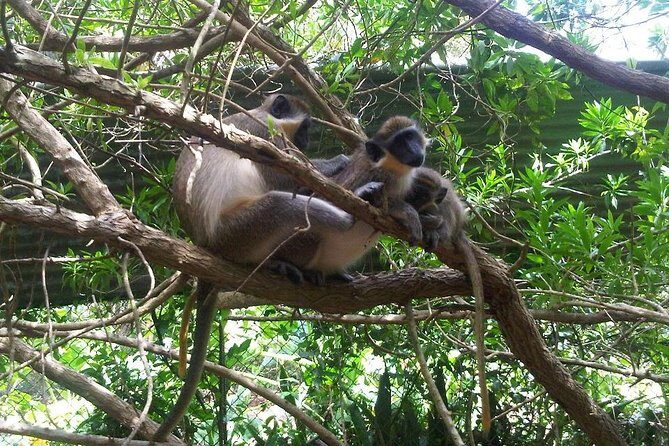 Private Customized Island Tour of Barbados - A Personal Touch on Barbados’s Best Sights