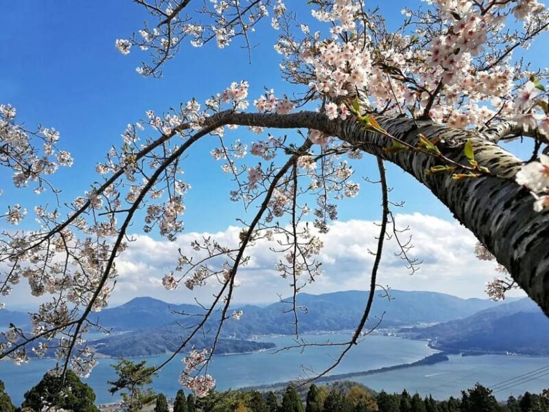 Private Customized Tour in Amanohashidate and Ine-cho area - FAQ