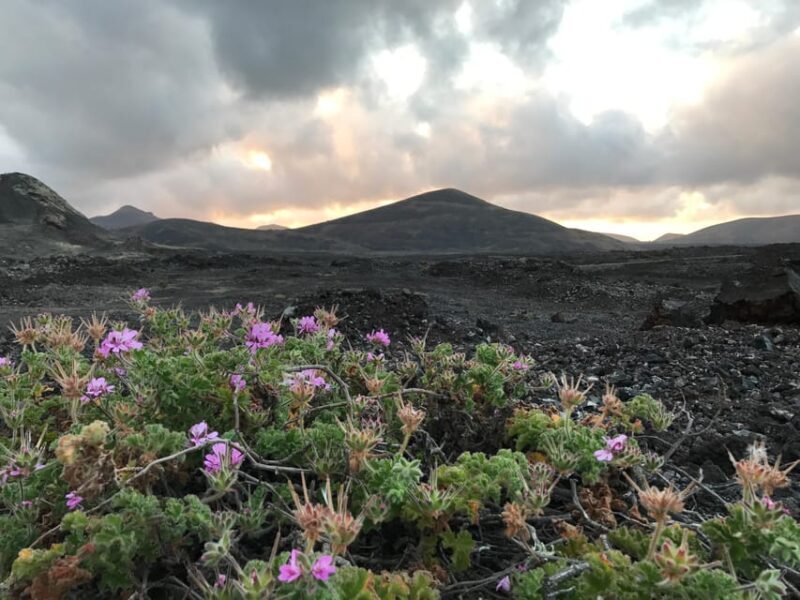PRIVATE CUSTOMIZED TOUR OF LANZAROTE ISLAND - The Sum Up