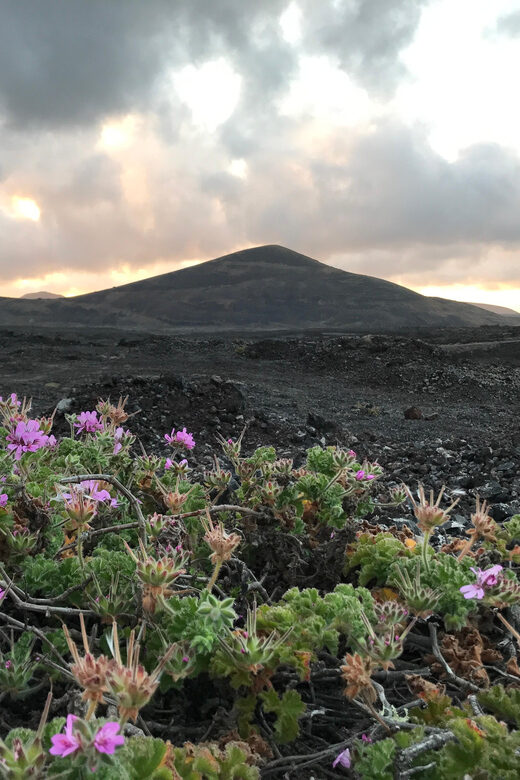 PRIVATE CUSTOMIZED TOUR OF LANZAROTE ISLAND - Frequently Asked Questions