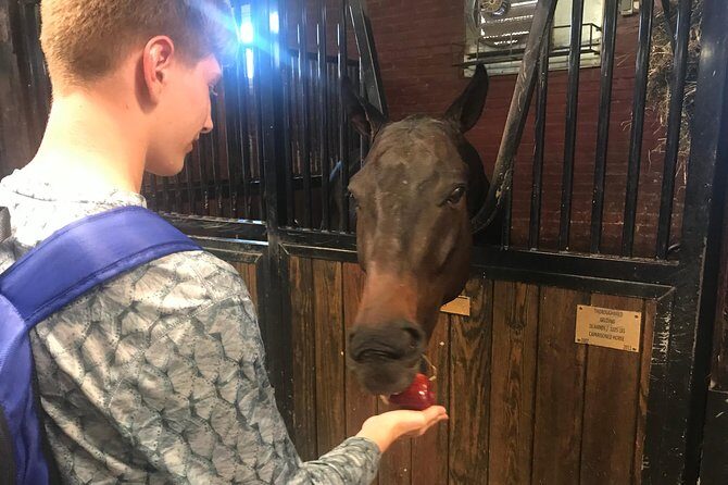 Private Customized Tour of Washington DC with US Veteran - A Close Look at What Makes This Tour Stand Out