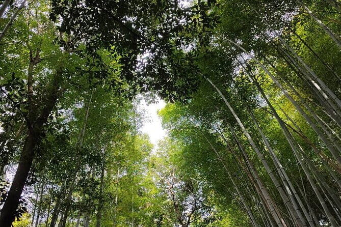 Private Customized Walking in Tour Kyoto - Why This Tour Offers Great Value