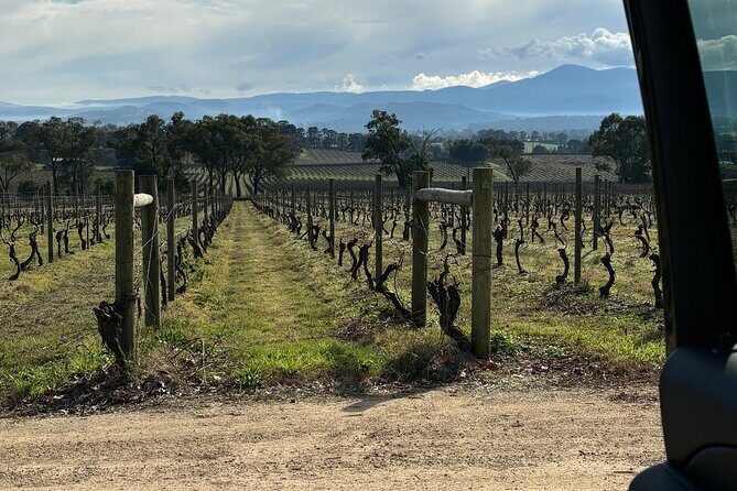 Private Customized Yarra Valley Wine Tour - Why Choose This Tour?