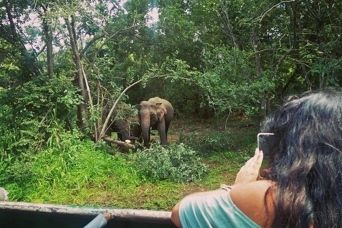 Private Dambulla Sigiriya Tour from Kandy with Lunch - A Deep Dive into the Experience