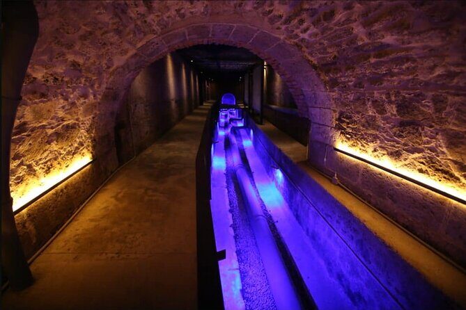 Private Day Adventure through the Guadalajara Museums and Michin Aquarium - The Sum Up