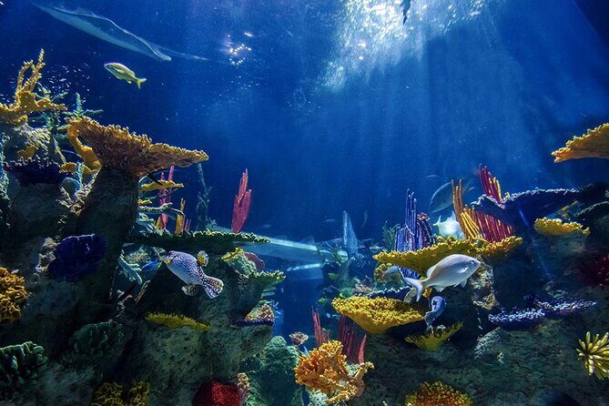 Private Day Adventure through the Guadalajara Museums and Michin Aquarium - FAQ