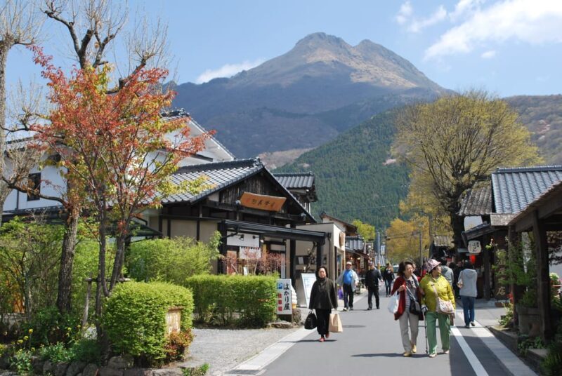 PRIVATE Day BUS Tour to KOKONOE & YUFUIN, BEPPU from Fukuoka - Who This Tour Is Best For