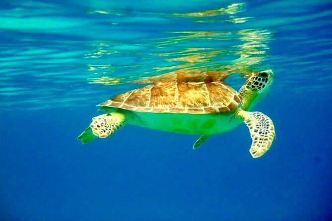 Private Day Charter Classic Sailboat - Key Points