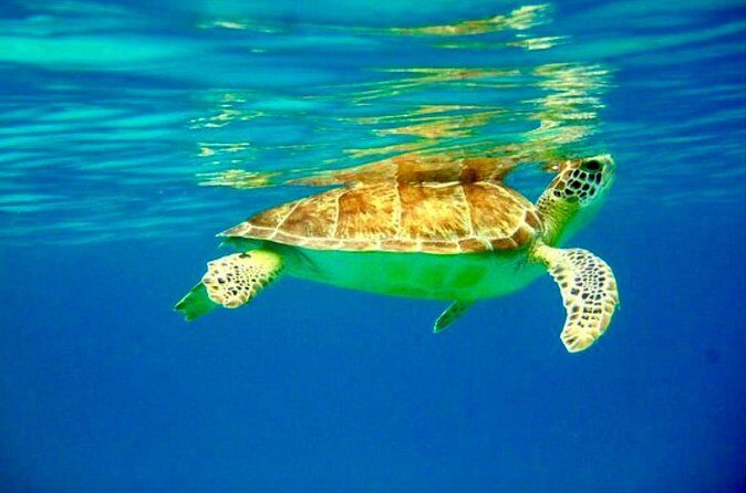 Private Day Charter Classic Sailboat - The Sum Up: Why Choose This Private Sail?