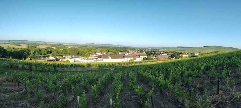 Private day - Cruise through the Champagne vineyards - FAQ