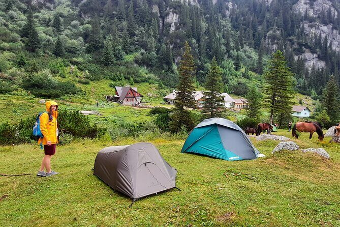 Private day hike from Brasov to Malaiesti Cottage - Key Points
