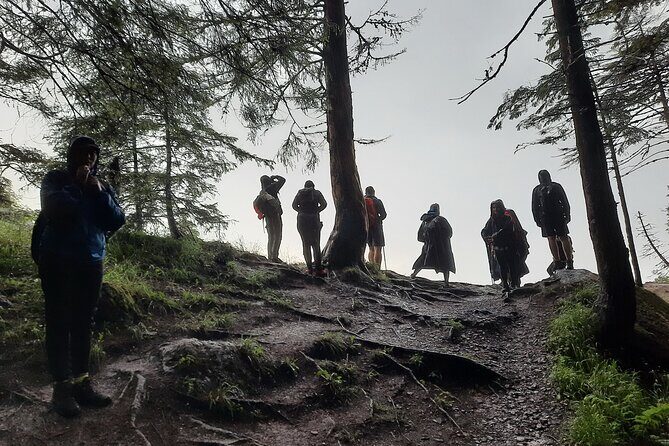 Private day hike from Brasov to Malaiesti Cottage - In-Depth: The Itinerary and Highlights