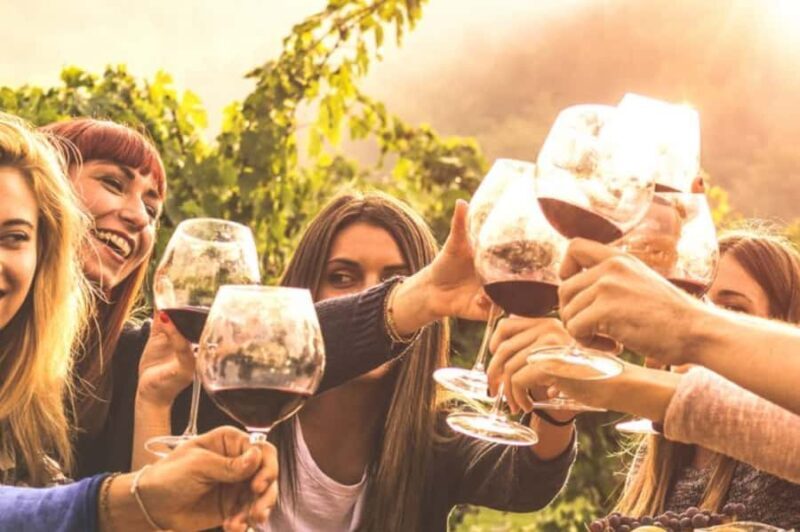 Private Day Mendoza Wineries (Opt Flight from Buenos Aires) - Key Points