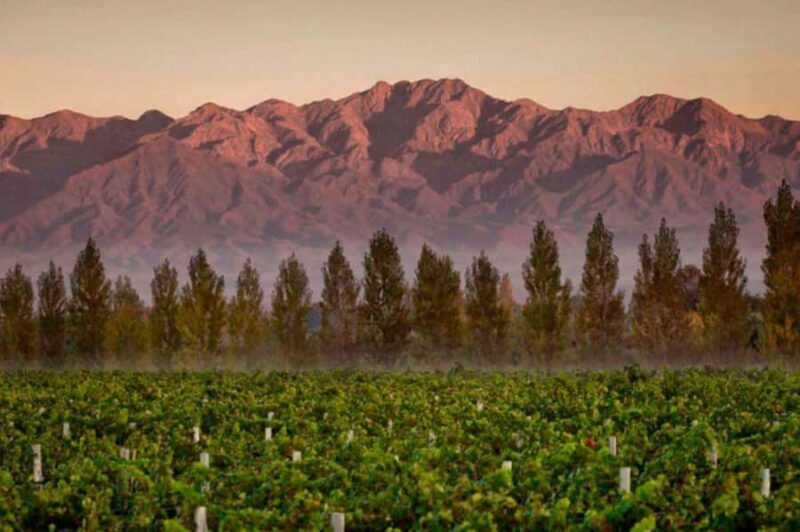 Private Day Mendoza Wineries (Opt Flight from Buenos Aires) - Who Will Get the Most Out of This Tour?