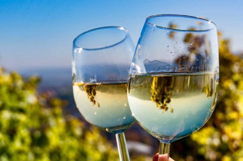 Private Day Mendoza Wineries (Opt Flight from Buenos Aires) - Final Thoughts