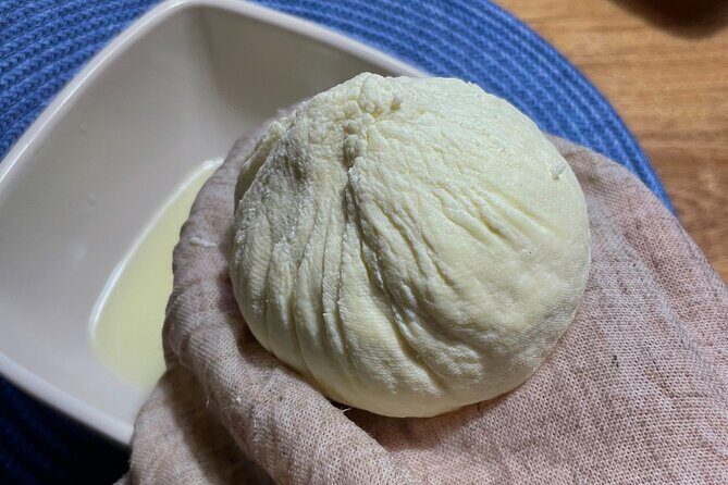 Private Day of Immersion in Country Life with Food - Exploring the Day in Detail