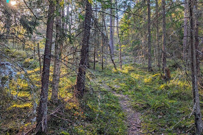 Private Day Road Trip from Helsinki: Raseborg, Fagervik, Porkkala - In-Depth Review