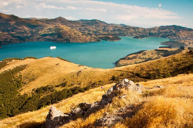 Private Day Scenic Excursion to Akaroa/Christchurch ex Lyttelton - A Personal, In-Depth Look at the Private Day Scenic Excursion to Akaroa and Christchurch from Lyttelton