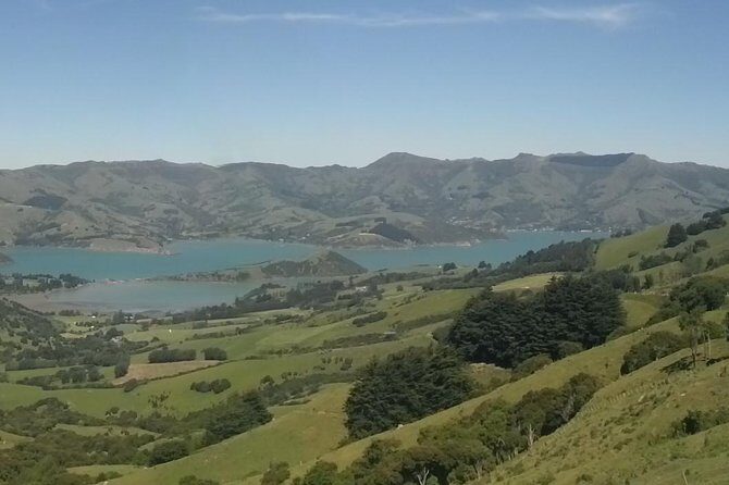 Private Day Scenic Excursion to Akaroa/Christchurch ex Lyttelton - The Itinerary in Detail: What to Expect at Each Stop