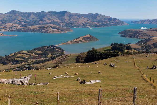Private Day Scenic Excursion to Akaroa/Christchurch ex Lyttelton - Practicalities: What You Need to Know