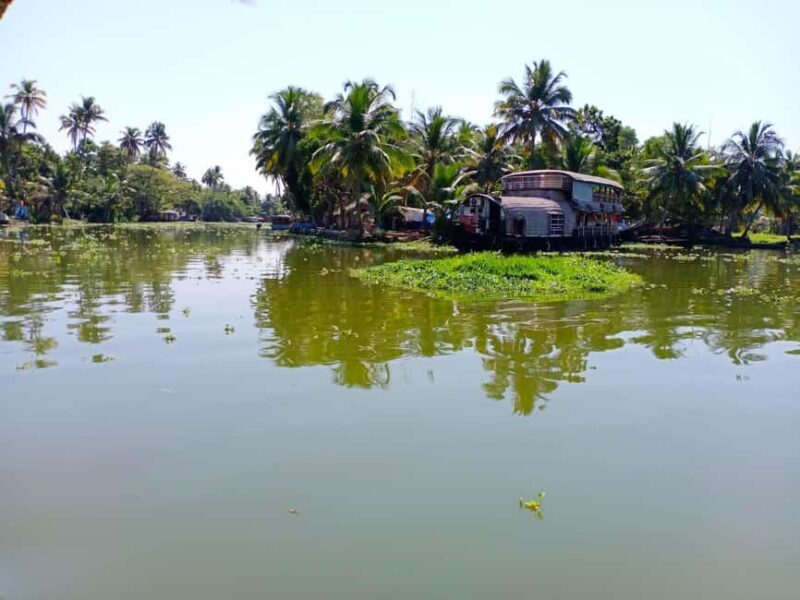 Private Day Tour - Alleppey, Cochin with Backwater & Beach - Final Thoughts