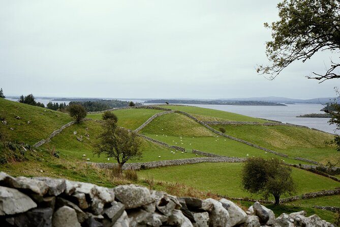 Private Day Tour Cliffs of Moher from Dublin - Experience the Cliffs of Moher with a Private Day Tour from Dublin