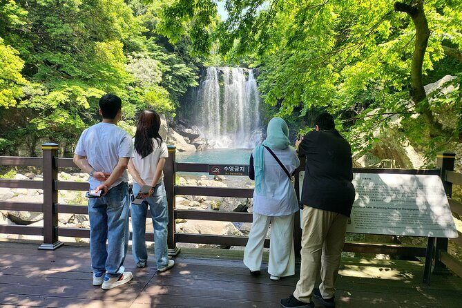 Private Day tour East & south & west of All area in jeju island - Final Thoughts: Who Should Consider This Tour?