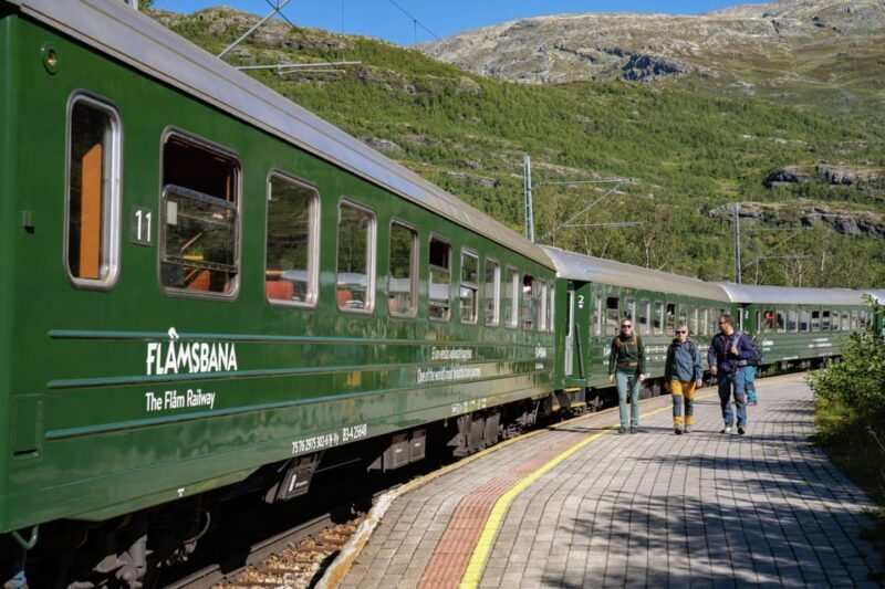 Private Day Tour- Flam Railway & Fjord Cruise From Bergen - Authentic Reviews and Personal Experiences