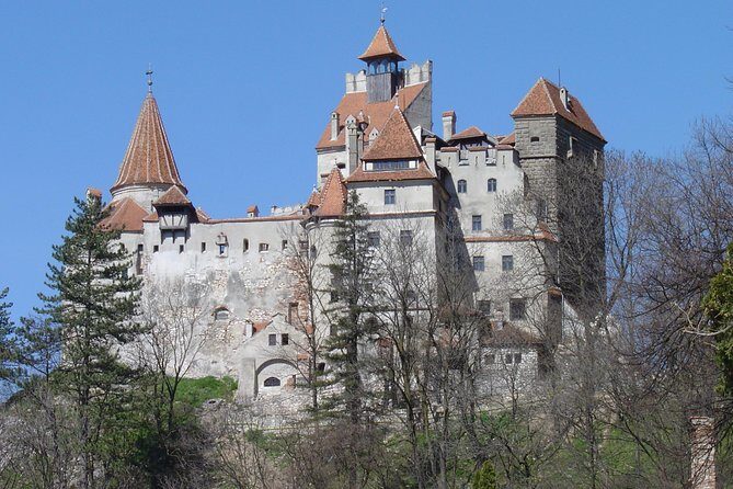 Private Day Tour from Brasov to Rasnov Fortress - A Detailed Look at the Tour Experience