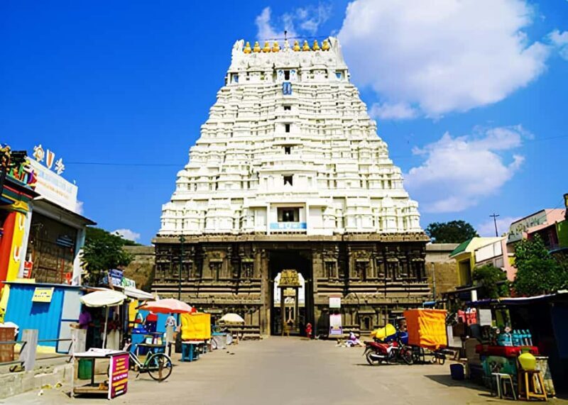 Private Day Tour From chennai : Visit Kanchipuram & Chennai - Who Should Book This Tour?