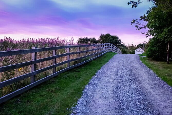 Private Day Tour from Florence to Pisa, Chianti and San Gimignano - Why This Tour Works